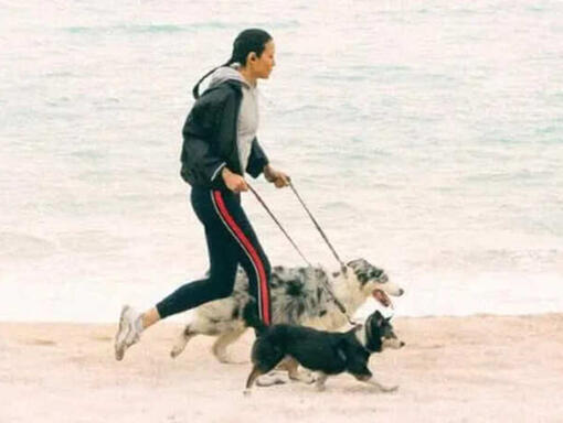 Dívka běží se psy