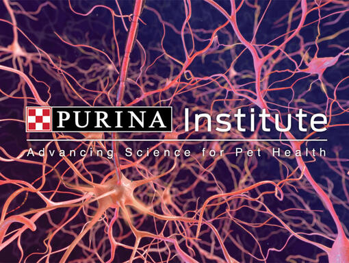 Logo institutu Purina