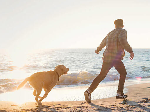 Muž a pes běží na pláži