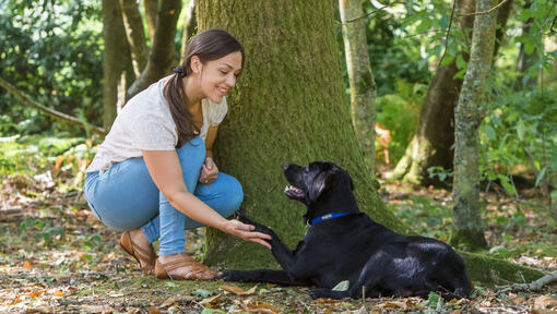 Žena se krčila se psem u stromu