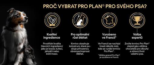 Pro Plan