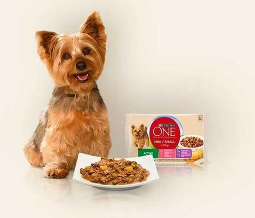 Purina One Dog product for mini