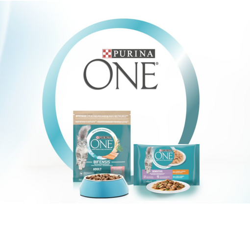 Purina ONE cat