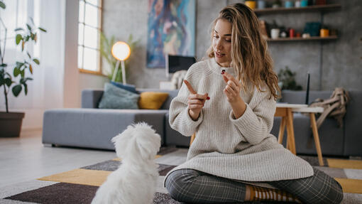 Woman training dog