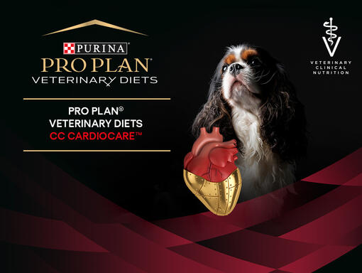 PRO PLAN® VETERINÁRNÍ DIETY, granule pro psy