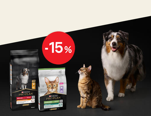 Sleva Pro PLAN 15 % - hp mobile
