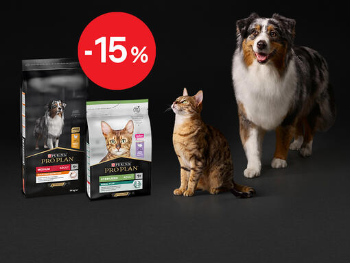 Sleva Pro PLAN 15 % - mobile