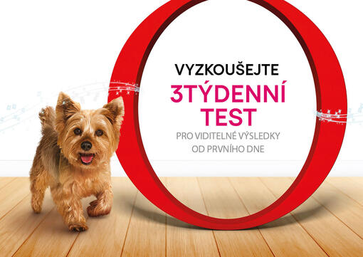 Purina One Pes 3týdenní test