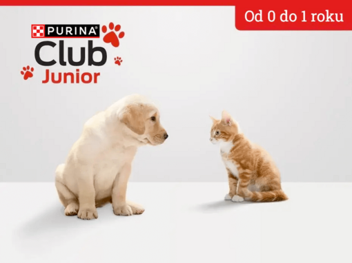 Purina Junior Club