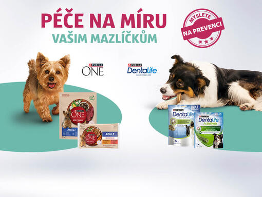 Purina ONE a Dentalife Péče na míru
