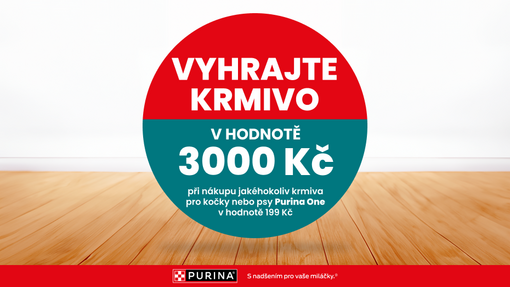 Vyhrajte balíček krmiva PURINA ONE v hodnotě 3000 Kč!