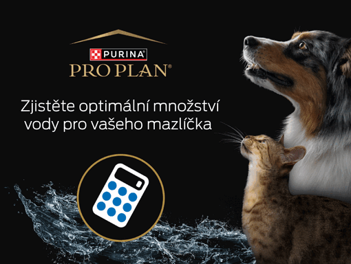 Unikátní kalkulačka pro příjem vody | Purina