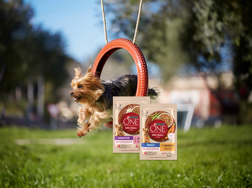 Purina ONE Sampling