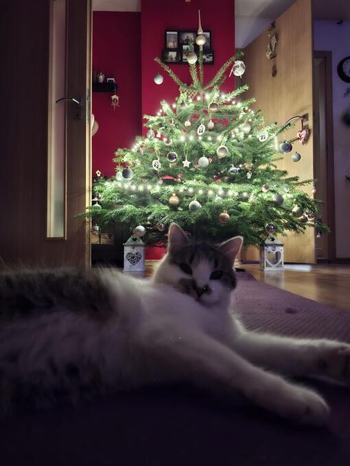 Magdaléna Štrbíková