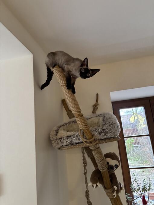 Gabriela Vodvařková