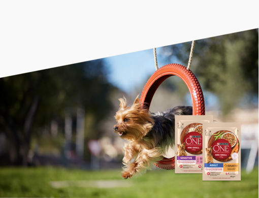 Kapsičky PURINA ONE® zdarma!