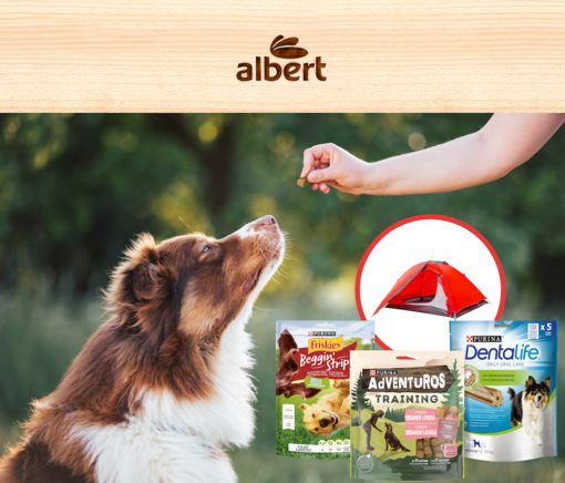 Purina Albert
