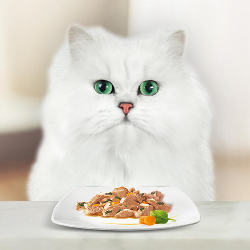 Purina Gourmet A la Carte