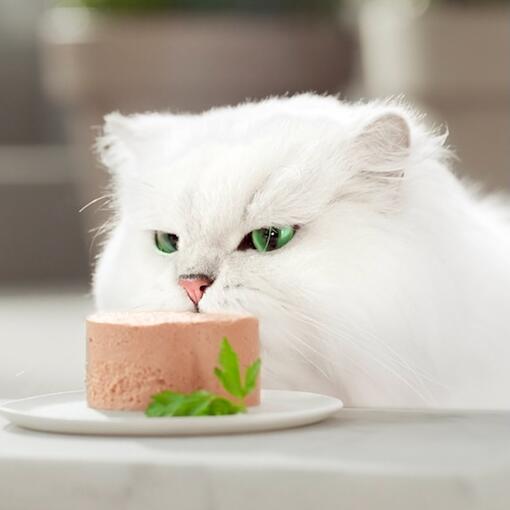 Purina Gourmet Gold