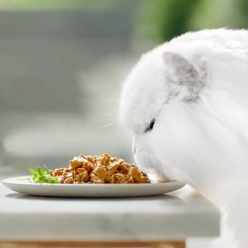 Purina Gourmet Perle