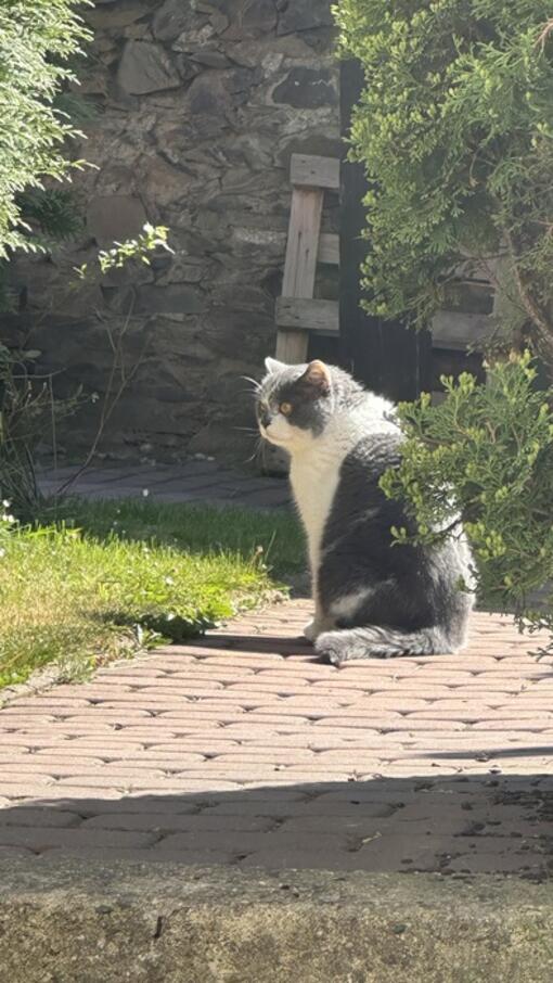 Kateřina Opavová 3W test Purina