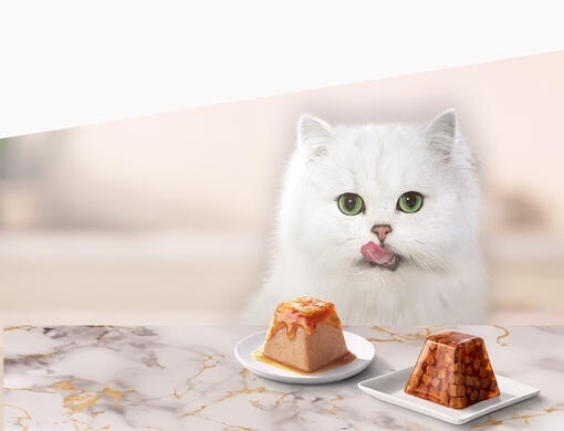 Získejte vzorek Gourmet® Revelations ZDARMA.