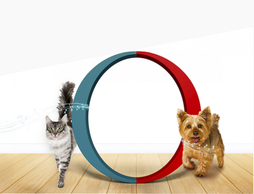 Purina ONE® 3týdenní test kočka a pes