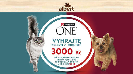 Kočka a pes kolem kruhu s logem a výpisu výher