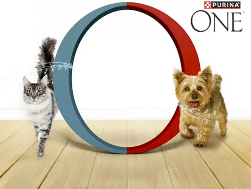 Vyzkousejte_purina_one_kocka_pes_3_tydenni_test