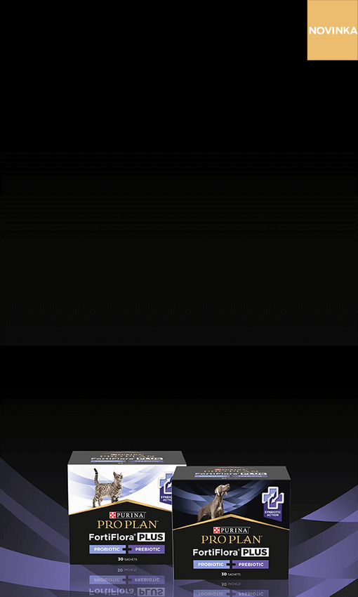 Banner PPVDFF Plus s produkty a ikonou Novinka