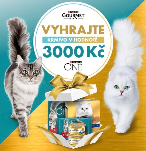 Kočky s produkty a ikonou soutěže