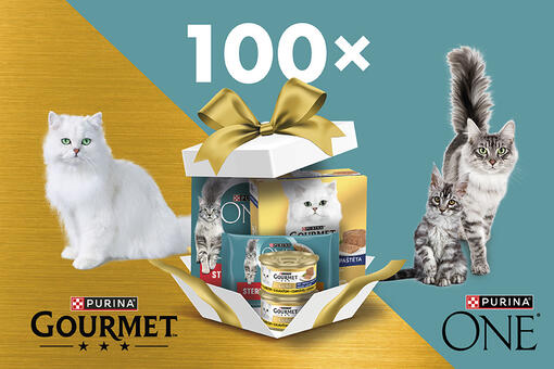 Kočka a pes na banneru - 100 x výhra Gourmet® a Purina One®