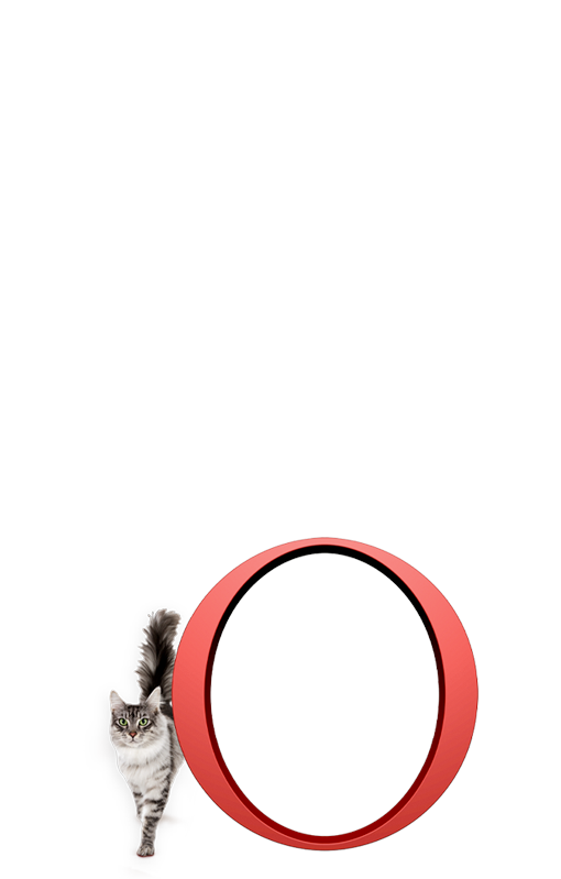 Kočka na světlém pozadí s kolem Purina ONE®