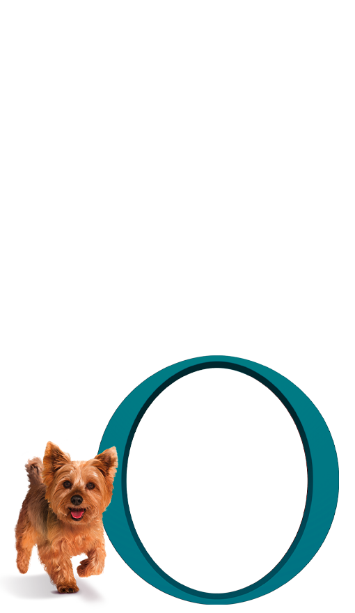 Pes na světlém pozadí s kolem Purina ONE®
