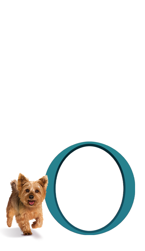 Pes na světlém pozadí s kolem Purina ONE®