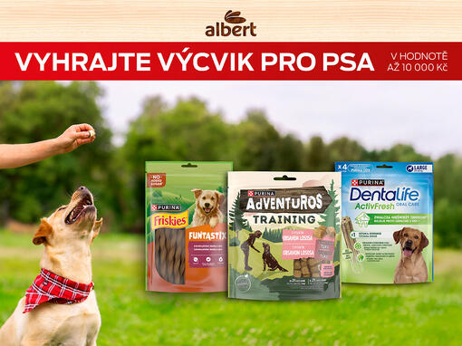 Panička krmí psa na louce. Na fotce jsou i produkty Purina®