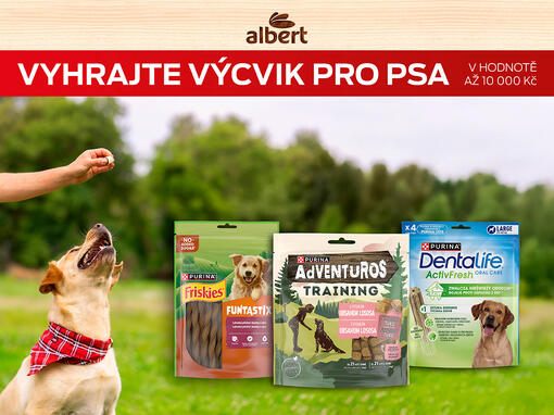 Hero banner "Vyhrajte výcvik pro psa". Produkty Purina®. Ruka s pamlskem láká psa