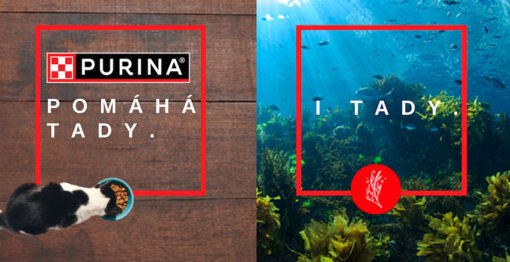 Hero banner - Obnova oceánů. Kočka u misky a pohled na dno oceánu