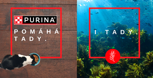 Hero banner - Obnova oceánů. Kočka u misky a pohled na dno oceánu