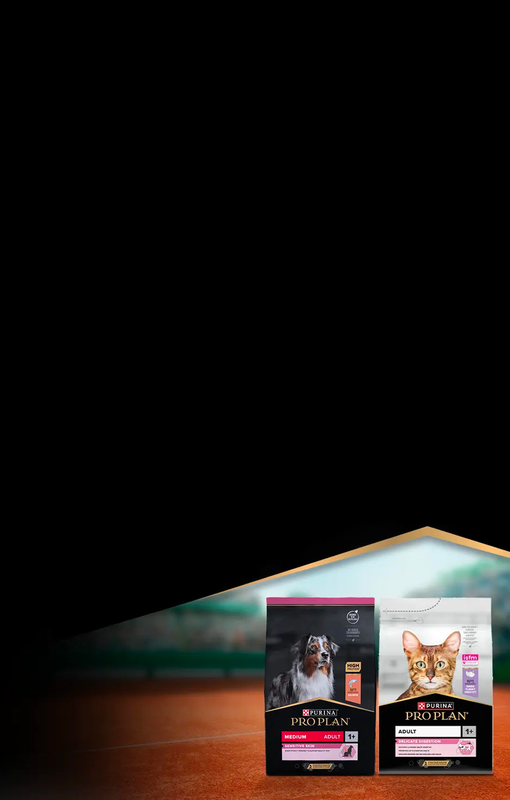 Produkty na tenisovém kurtu v pozadí - banner pro kampaň "Feed like a pro"
