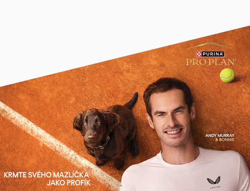 Tenista Andy Murray a pes Bonnie na tenisovém kurtu