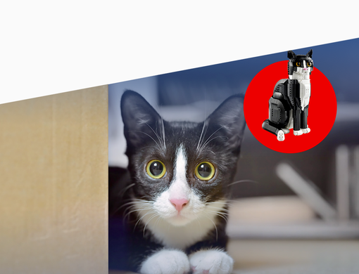 Kočka ležící za skříní