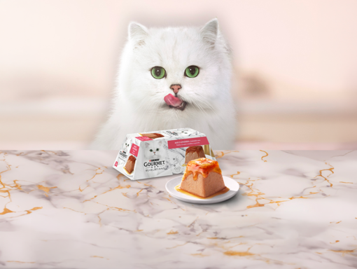 Kočka za stolem s krmivem Gourmet®