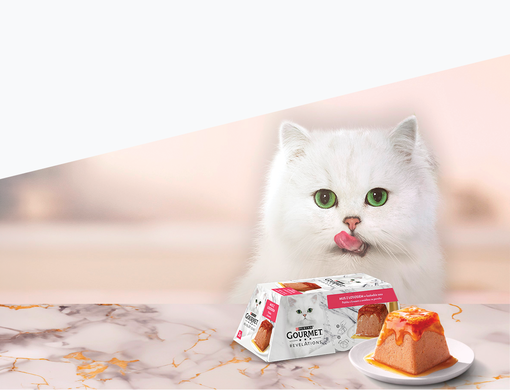 Kočka sedící za stolem, kde je krmivo Purina® Gourmet®