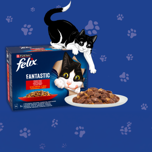Kočka za krabicí s krmivem Felix® Fantastic
