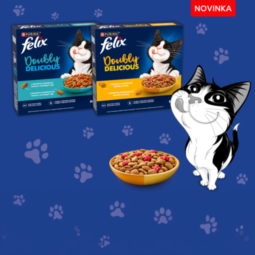 Kočka u misky s krmivem Felix® Doubly Delicious