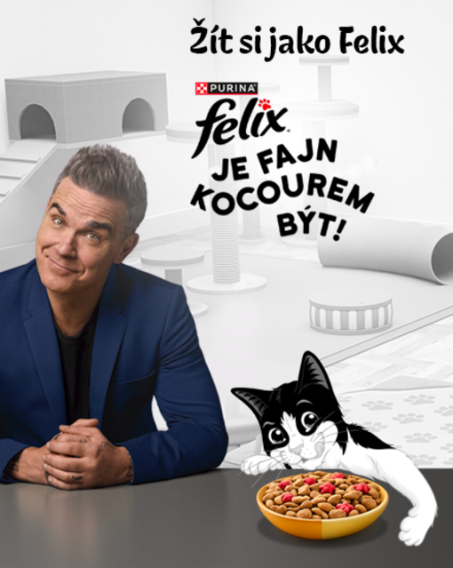 Robbie Williams s kocourem Felix