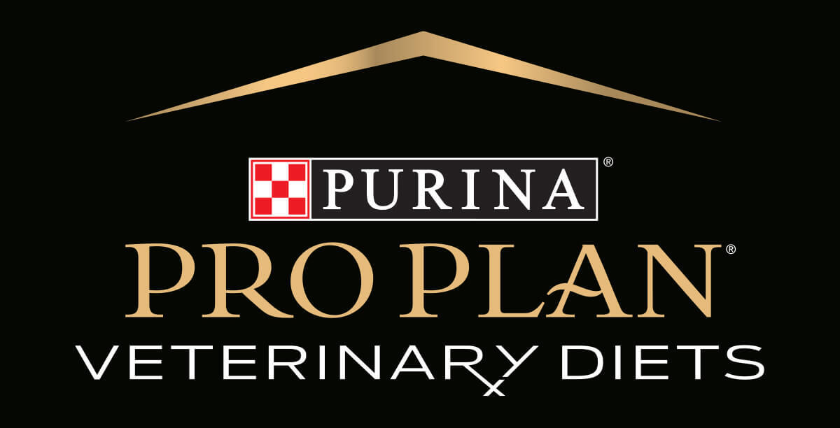 PPVD master logo PPVD