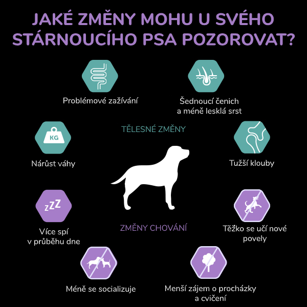 Jaké změny mohu pozorovat Jaké změny mohu pozorovat