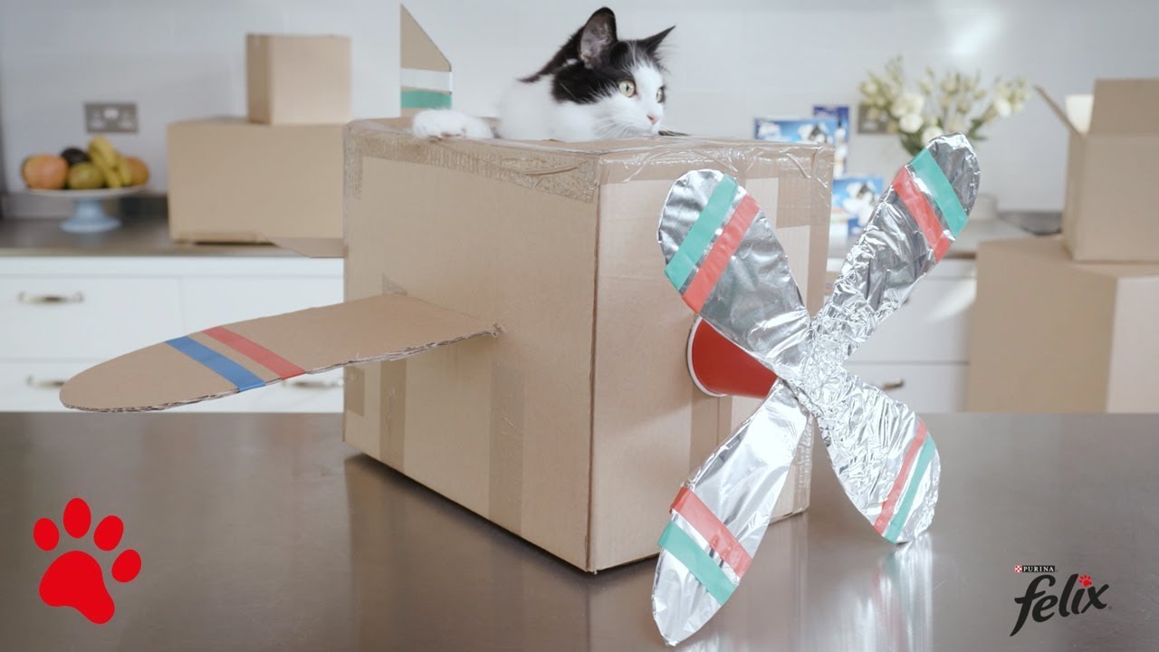 Jak vyrobit krabici snů pro svou kočku - letadlo